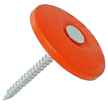 Nails - Plastic Cap 1# - Mt Elliot